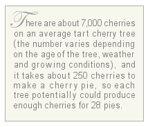  cherry facts 