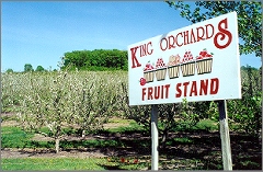 fruitstand