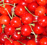montmorency tart cherries