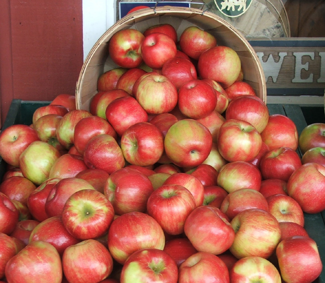 honeycrisp