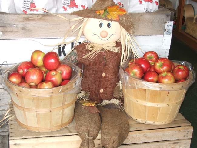 honeycrisp