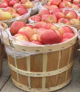honeycrisp