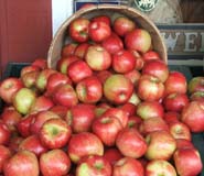 honeycrisp