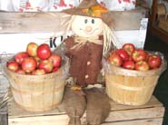 honeycrisp